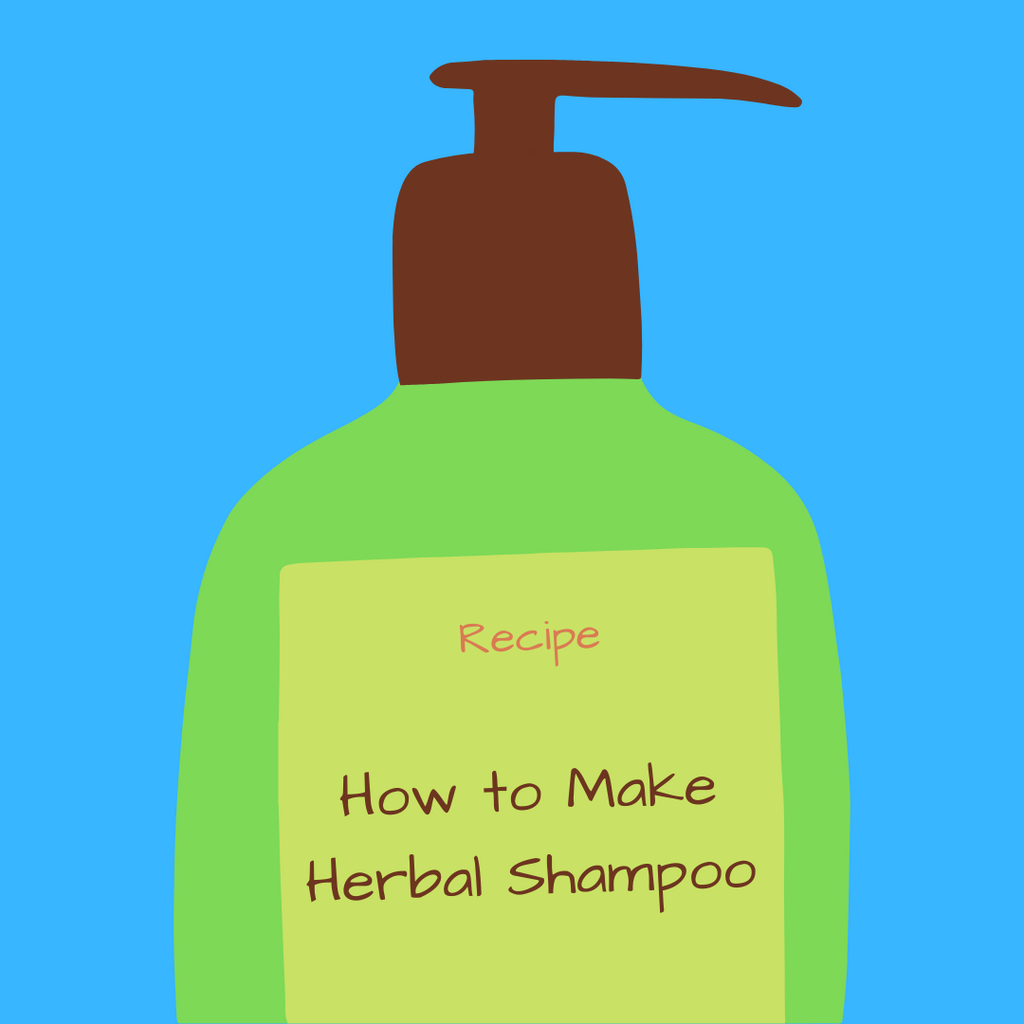How to make Soapwort Shampoo