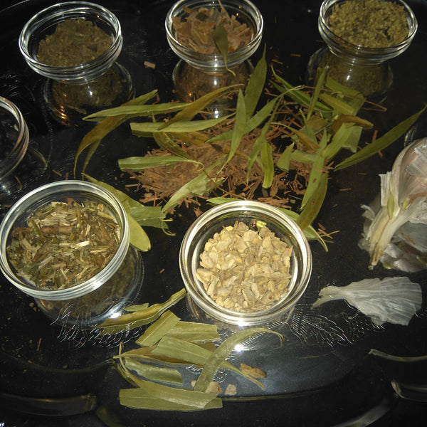 Herbs & Teas for Beginners
